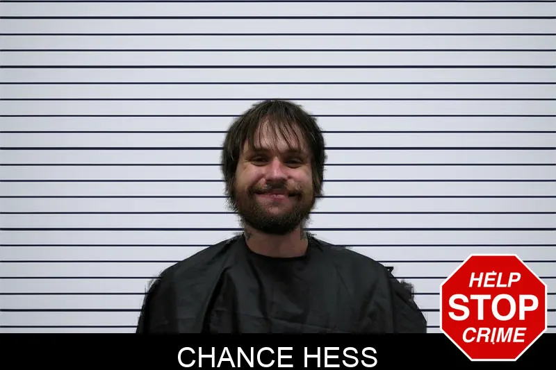 Chance Hess mugshot