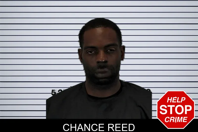 Chance Reed mugshot