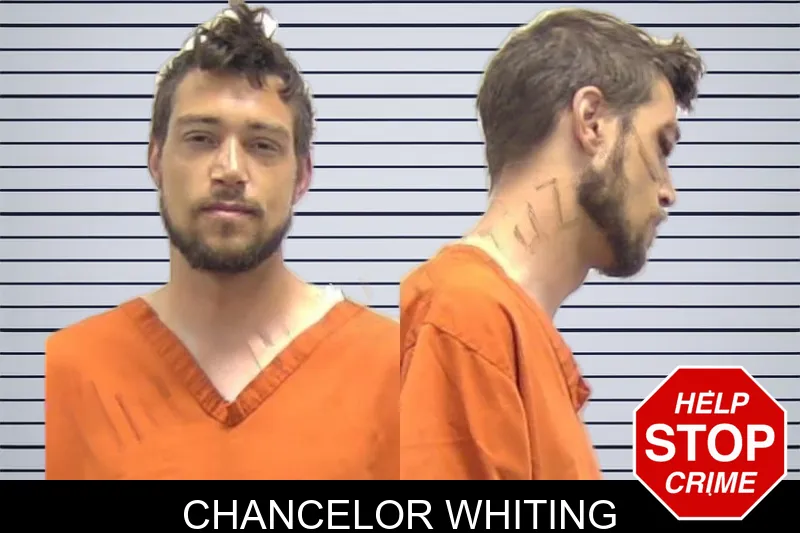 Chancelor Whiting mugshot