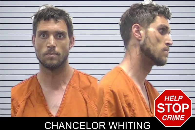 Chancelor Whiting mugshot