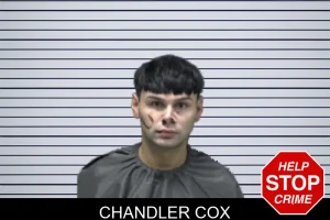 Chandler Cox mugshot