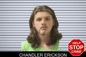 Chandler Erickson mugshot