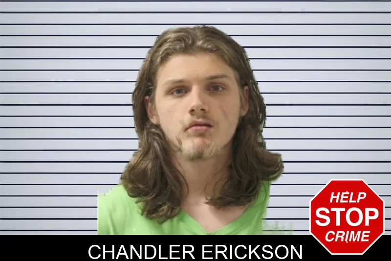 Chandler Erickson mugshot