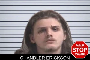 Chandler Erickson mugshot