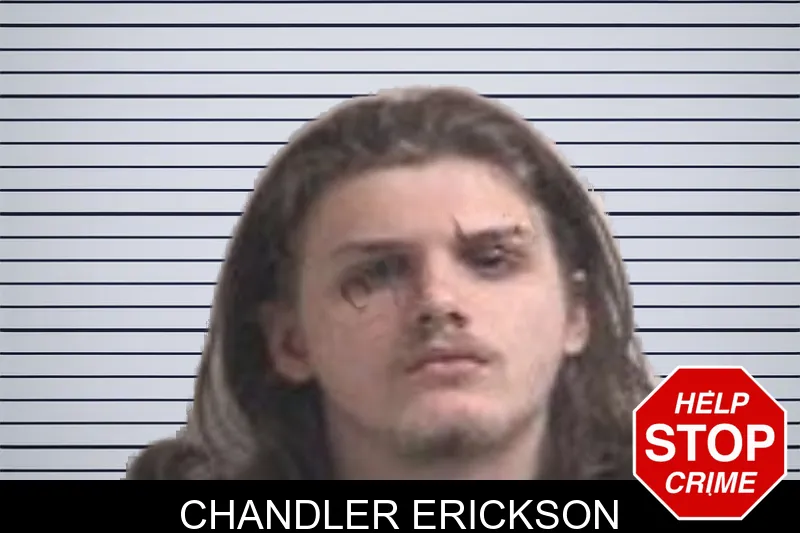 Chandler Erickson mugshot