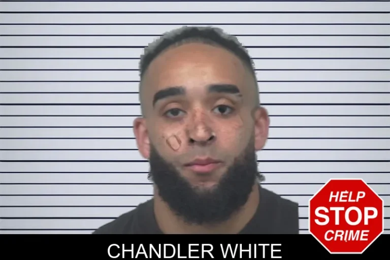 Chandler White mugshot – Gwinnett County , Georgia Chandler White