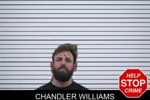 Chandler Williams mugshot