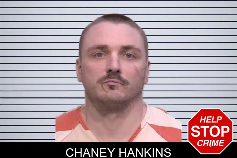 Chaney Hankins mugshot
