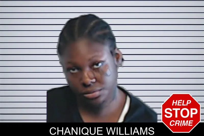Chanique Williams mugshot
