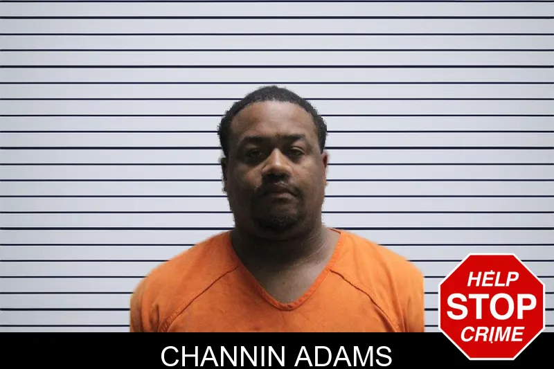 Channin Adams mugshot – Murray County , Georgia Channin Adams mugshot