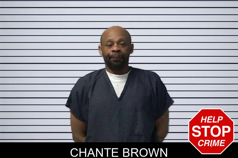 Chante Brown mugshot