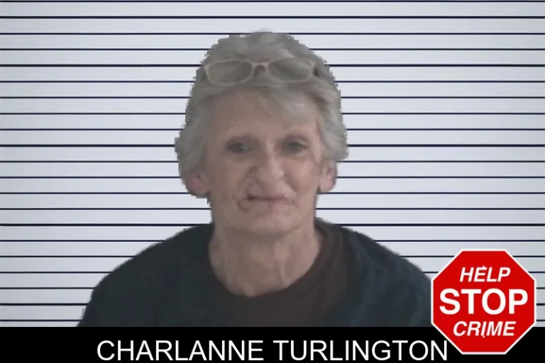 Charlanne Turlington mugshot – Brantley County , Georgia Charlanne Turlington