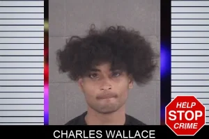 Charles Wallace mugshot
