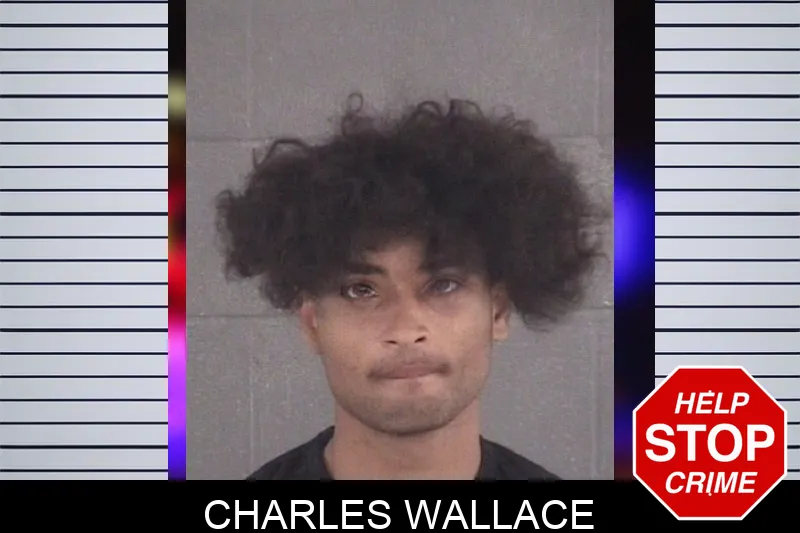 Charles Wallace mugshot