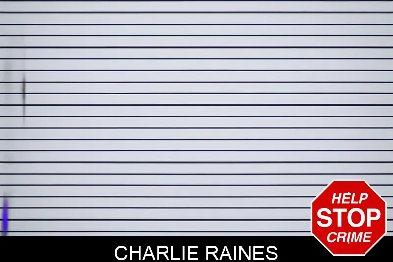 Charlie Raines mugshot – Upson County , Georgia Charlie Raines mugshot