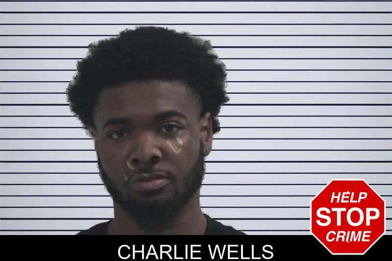 Charlie Wells mugshot