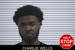 Charlie Wells mugshot