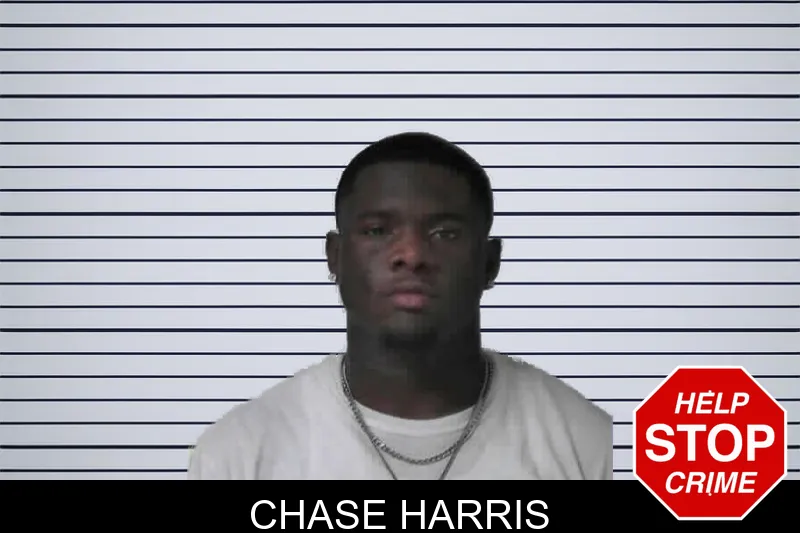 Chase Harris mugshot