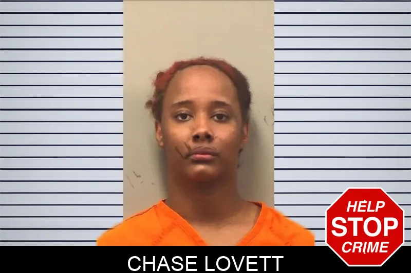 Chase Lovett mugshot – Bleckley County , Georgia Chase Lovett mugshot