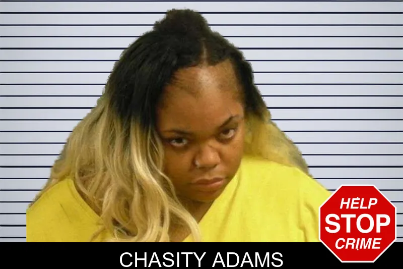 Chasity Adams mugshot – Upson County , Georgia Chasity Adams mugshot