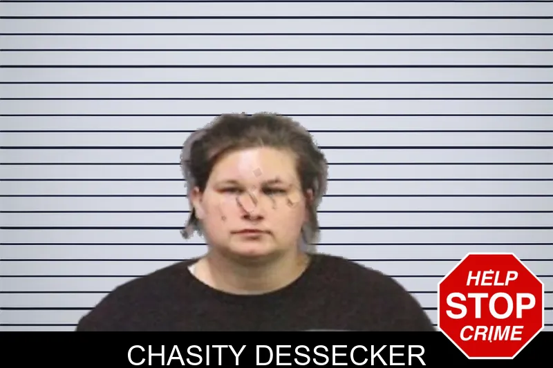 Chasity Dessecker mugshot – White County , Georgia Chasity Dessecker mugshot