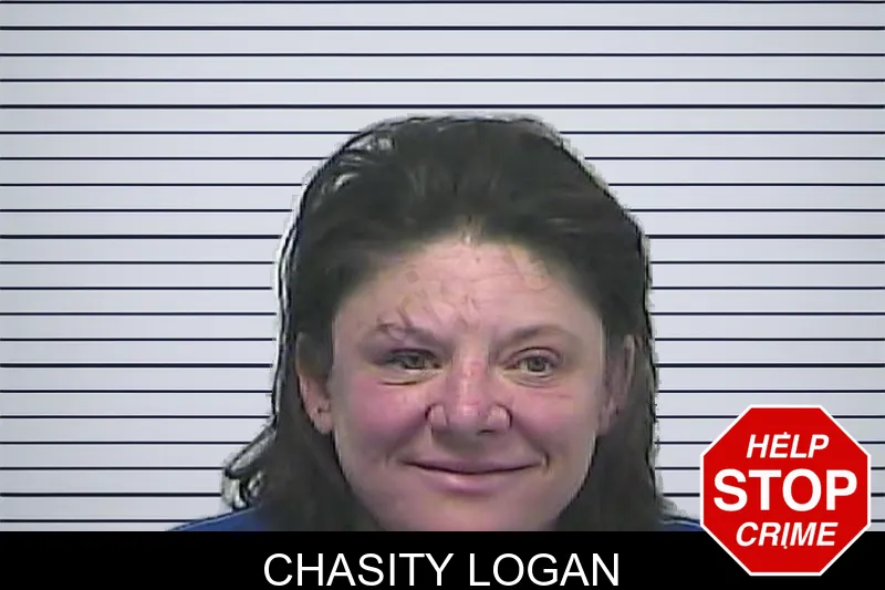 Chasity Logan mugshot
