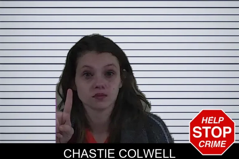 Chastie Colwell mugshot – Fannin County , Georgia Chastie Colwell