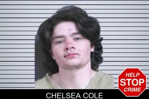Chelsea Cole mugshot