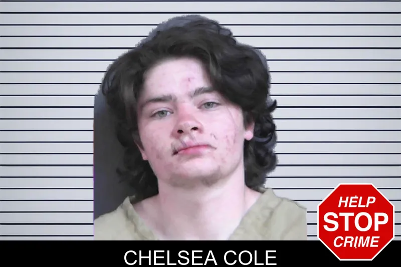 Chelsea Cole mugshot
