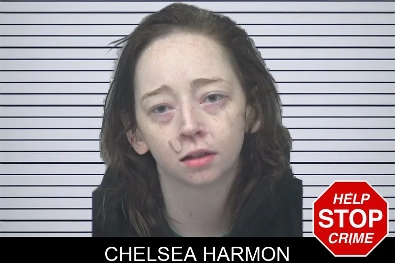 Chelsea Harmon mugshot