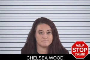 Chelsea Wood mugshot