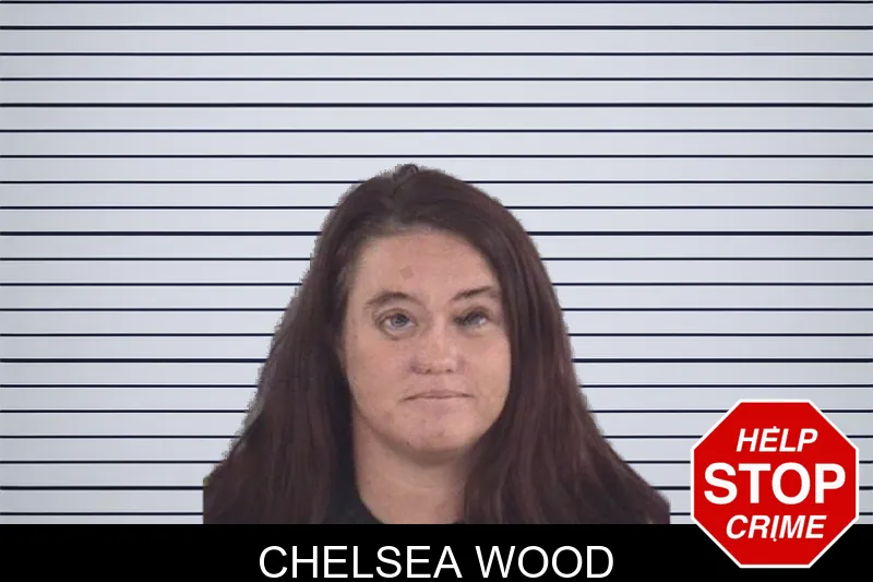 Chelsea Wood mugshot