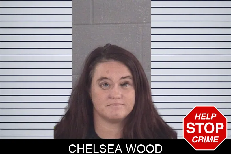 Chelsea Wood mugshot