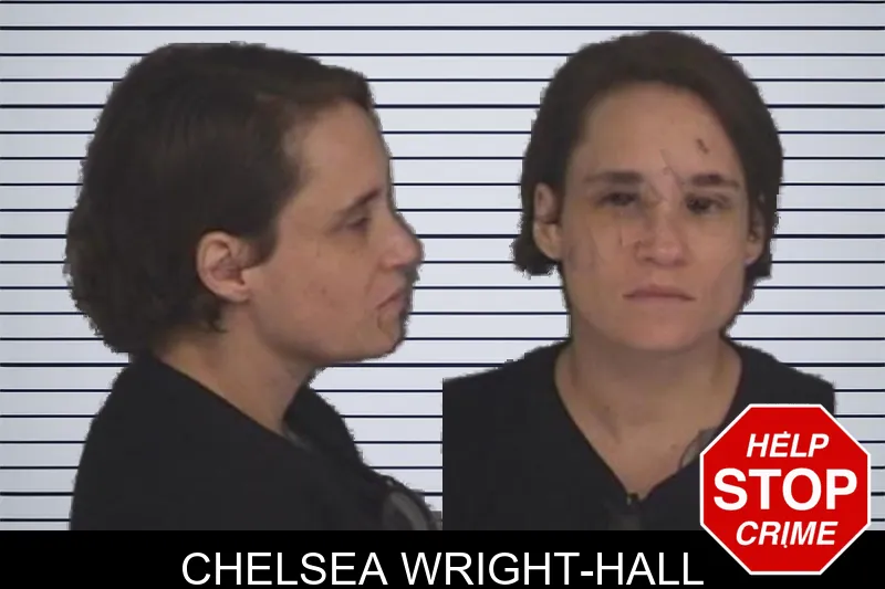 Chelsea Wright-Hall mugshot – Barrow County , Georgia Chelsea Wright-Hall mugshot