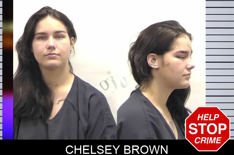 Chelsey Brown mugshot