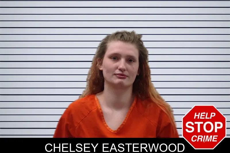 Chelsey Easterwood mugshot – Pickens County , Georgia Chelsey Easterwood mugshot