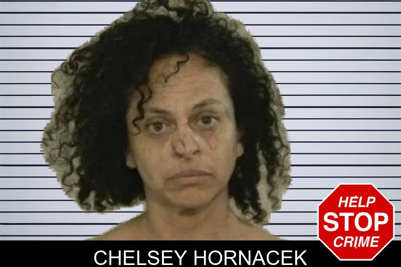 Chelsey Hornacek mugshot