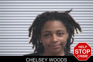 Chelsey Woods mugshot
