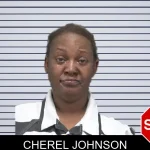 Cherel Johnson mugshot