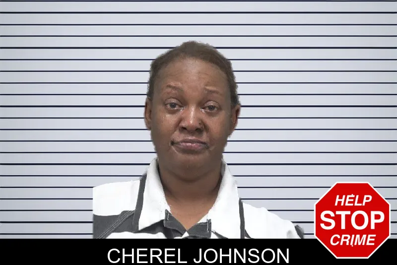 Cherel Johnson mugshot