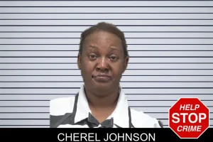 Cherel Johnson mugshot