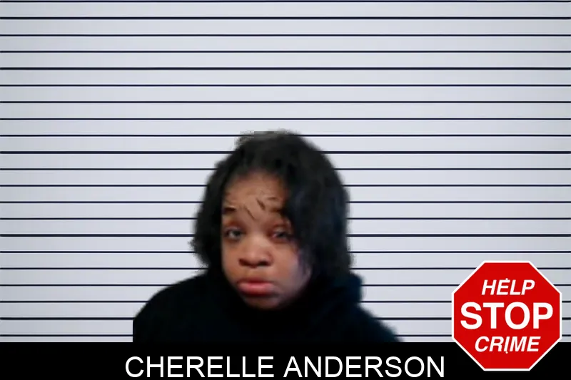 Cherelle Anderson mugshot – DeKalb County , Georgia Cherelle Anderson mugshot