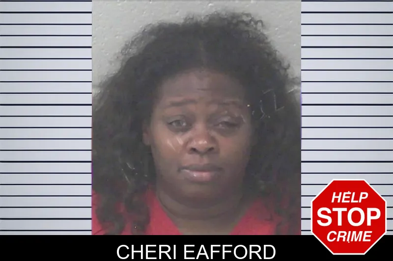 Cheri Eafford mugshot – Newton County , Georgia Cheri Eafford mugshot