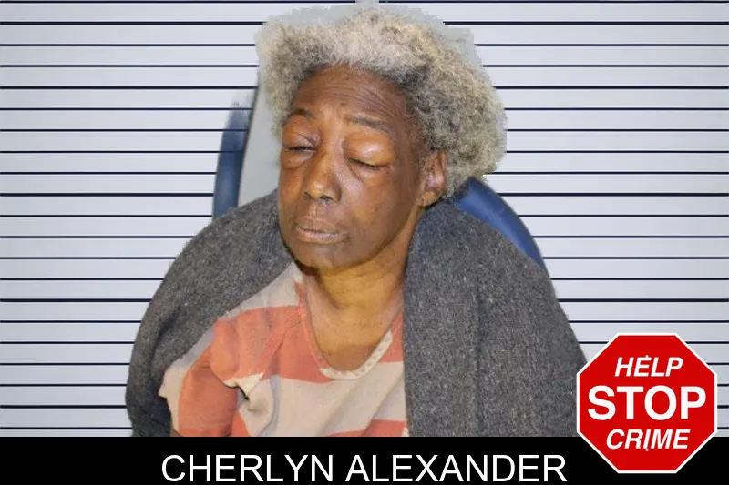Cherlyn Alexander mugshot