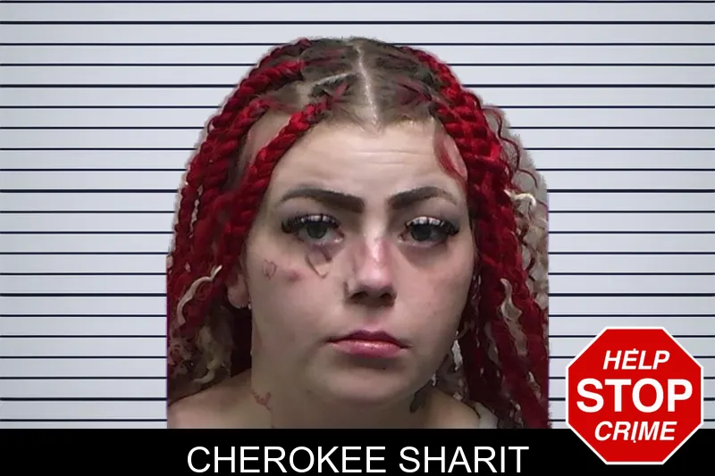Cherokee Sharit mugshot – Tift County , Georgia Cherokee Sharit mugshot