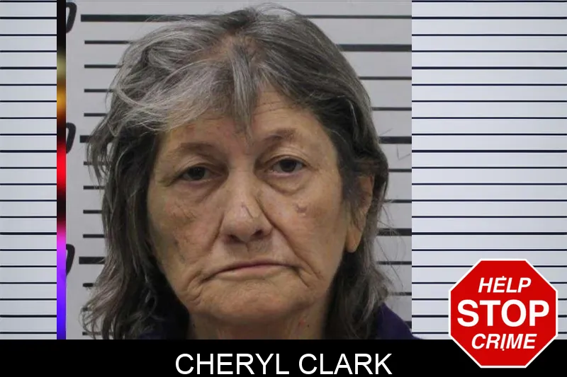 Cheryl Clark mugshot