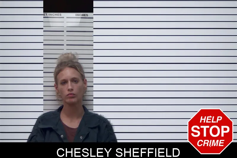 Chesley Sheffield mugshot