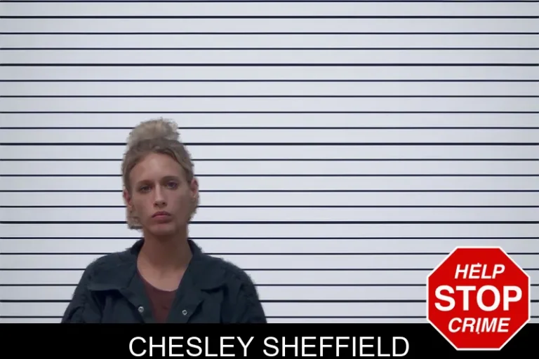 Chesley Sheffield mugshot – Irwin County , Georgia Chesley Sheffield