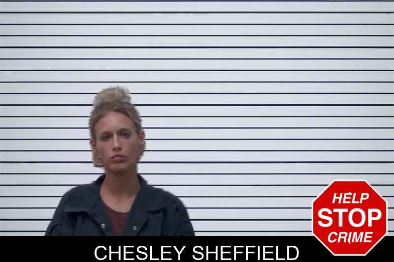 Chesley Sheffield mugshot
