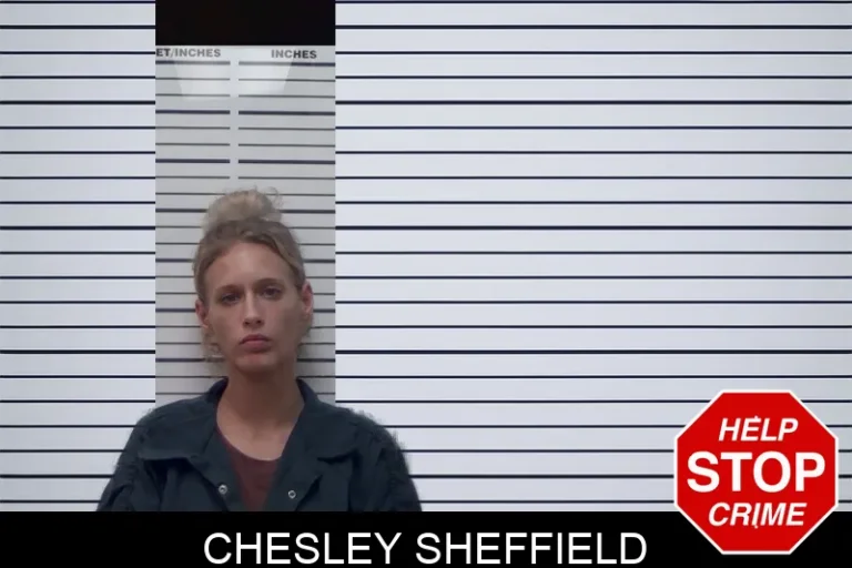 Chesley Sheffield